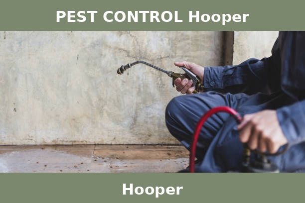PEST CONTROL Hooper
